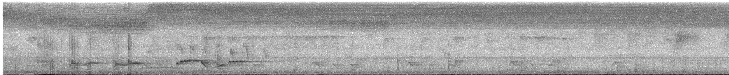 White-rumped Shama - ML652507717