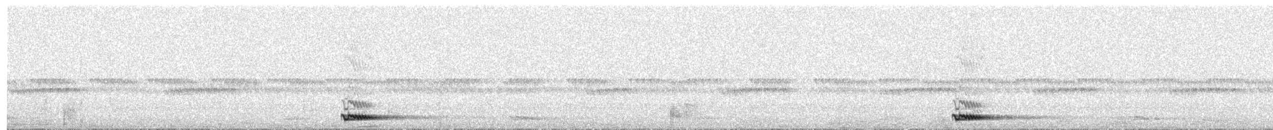 African Scops-Owl - ML652507992