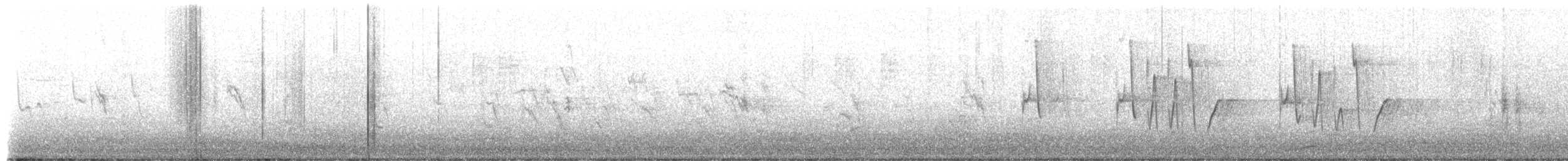 Соловьиная широкохвостка - ML652509800