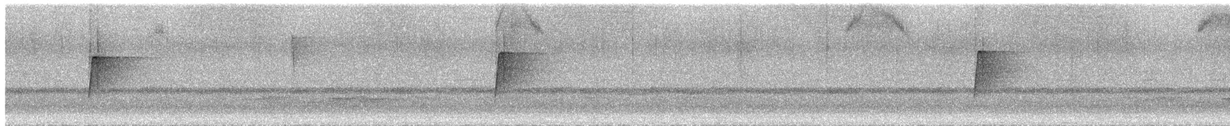 חטפית ירקרקה - ML652512134