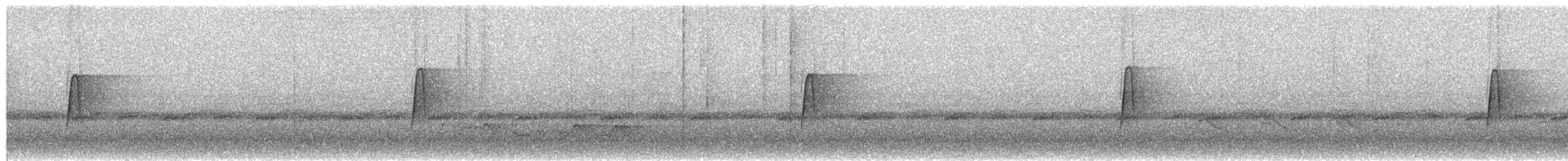 חטפית ירקרקה - ML652512135