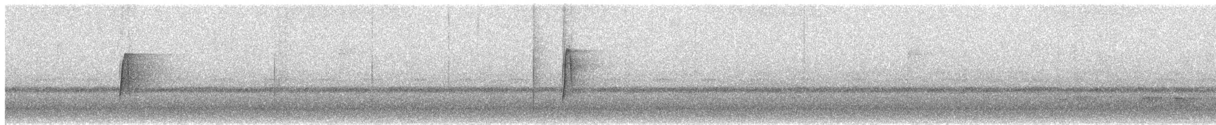 חטפית ירקרקה - ML652512136