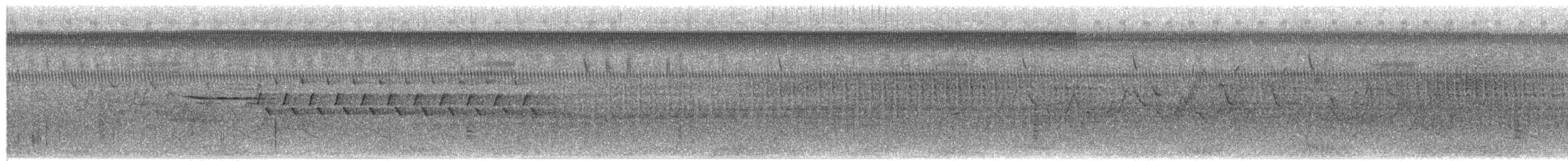 Bachman's Sparrow - ML652512287