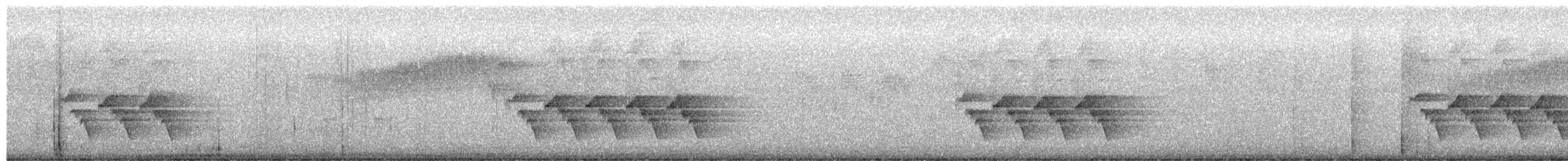 チャバラマユミソサザイ - ML652513915