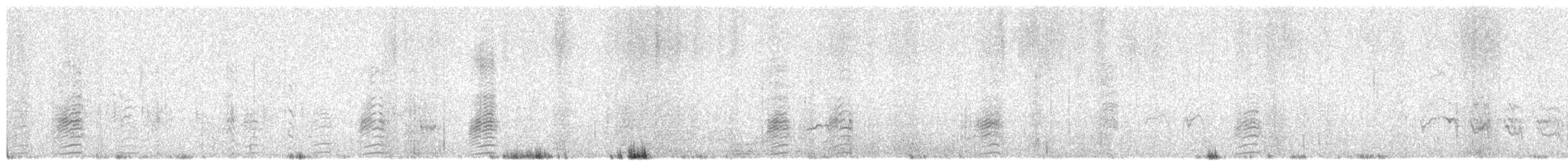 Cerceta Andina - ML652514992