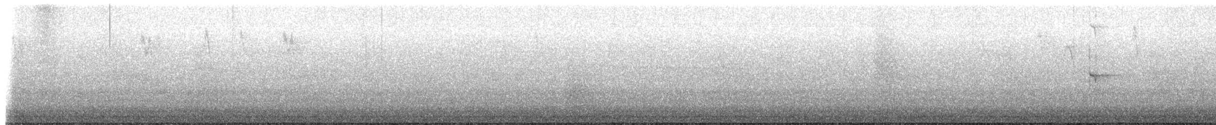 Hairy Woodpecker - ML652523191