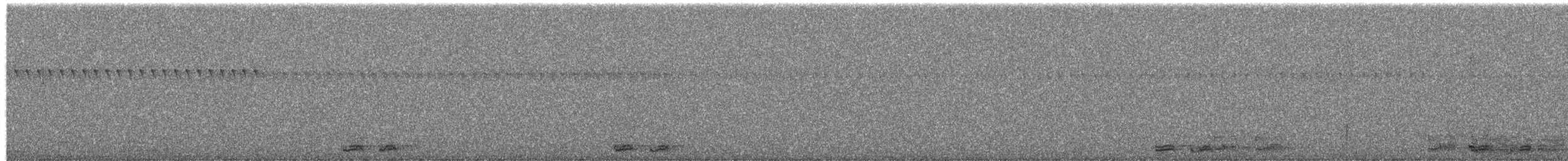 Момот рудочеревий - ML652524216