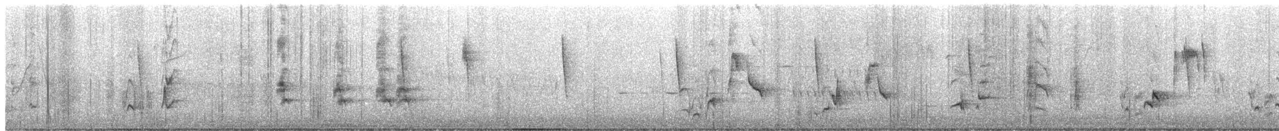 ネコマネドリ - ML652525856