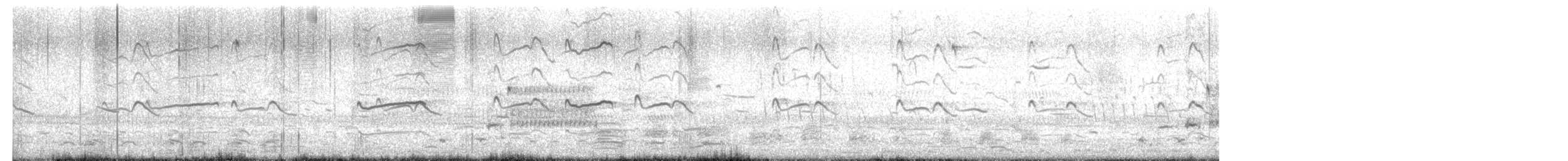 Pluvier kildir - ML652528803