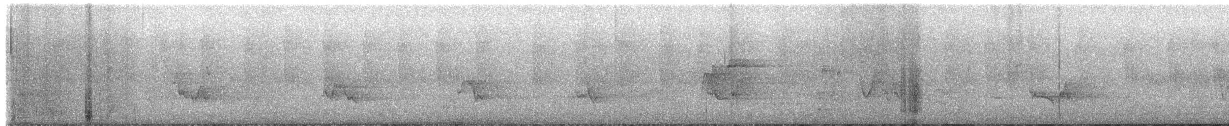 חטפית ירקרקה - ML652532052