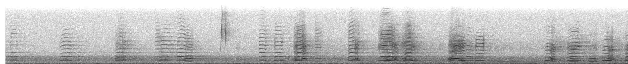 Whooper Swan - ML652532922