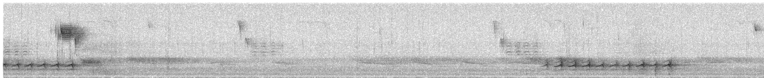 Каролинский поползень - ML652537573