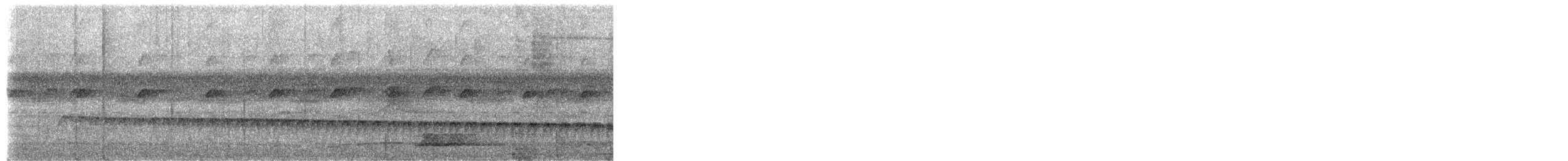 White-browed Antbird - ML652539810