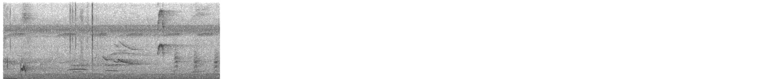 Large-headed Flatbill - ML652539853