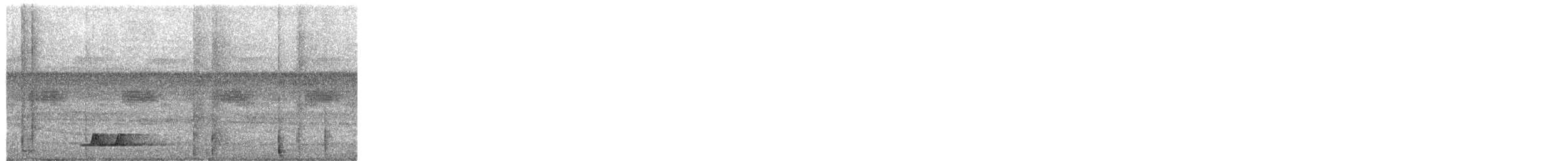 Moustached Wren - ML652539865