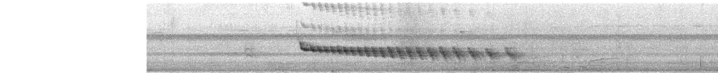 シロハラアリドリ - ML652539914