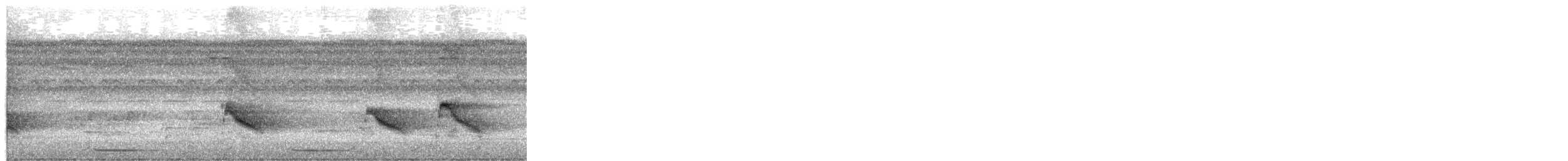 Amazonian Antpitta - ML652540459