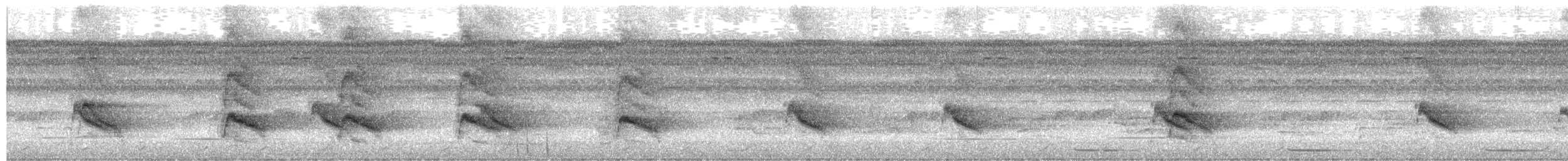 Violaceous Jay - ML652540464