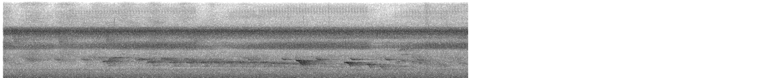 White-lined Antbird - ML652541124