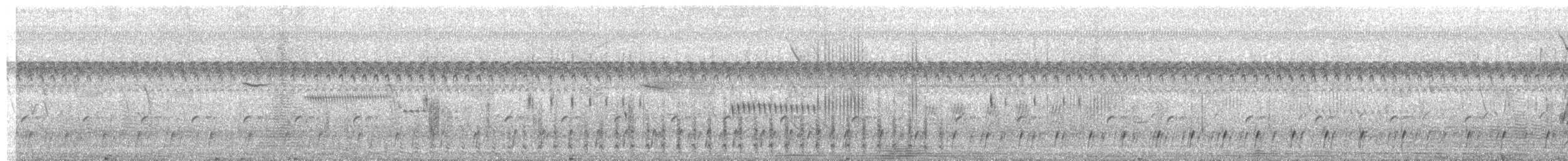 パラグアイタシギ - ML652542462