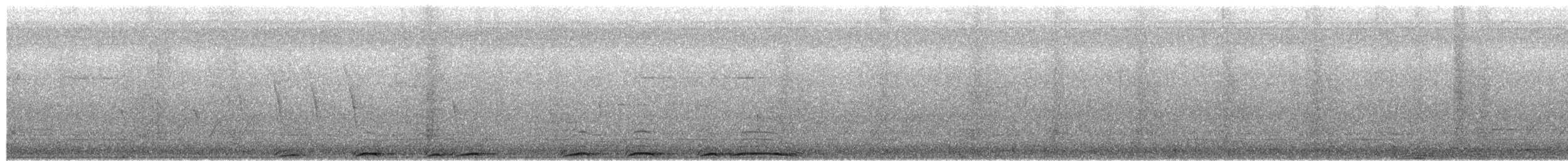 Barred Owl - ML652545924