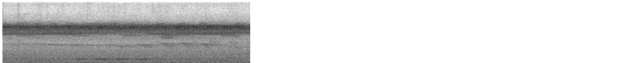 Thrush-like Antpitta - ML652552721