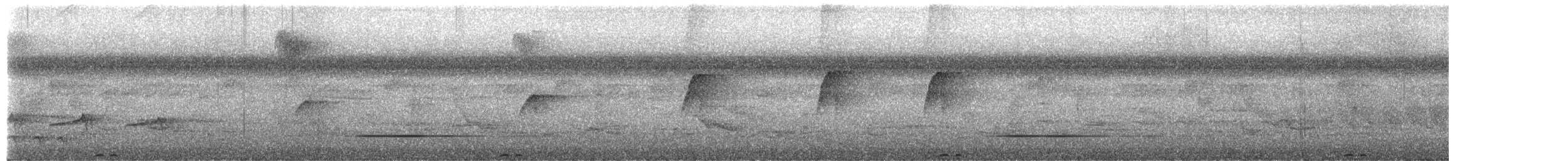 Rufous Motmot - ML652552732