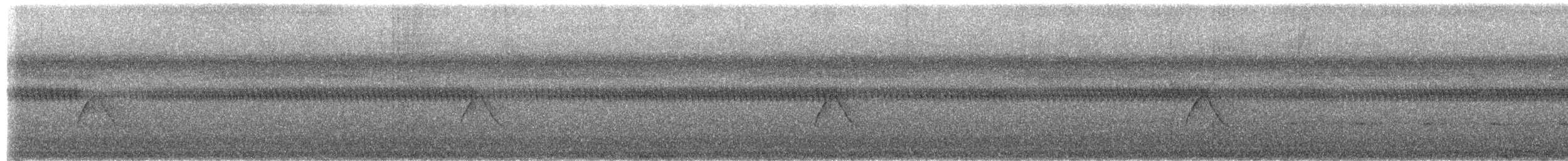 참새목 - ML652554218