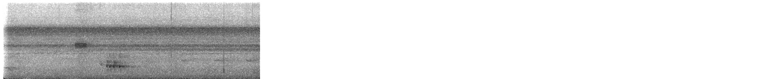 Flammulated Pygmy-Tyrant - ML652554226