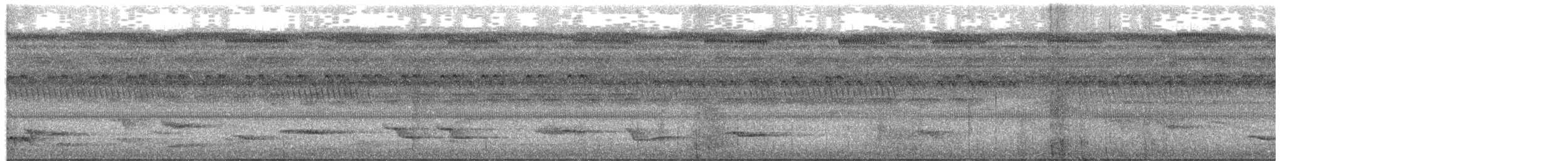 Hauxwell's Thrush - ML652554283