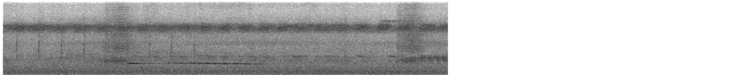 Black-faced Antthrush - ML652554383