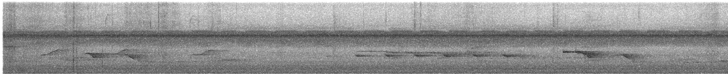 Ringed Antpipit - ML652556404