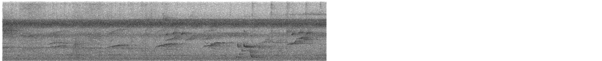 Gray-crowned Flatbill - ML652556466