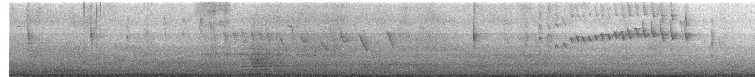 Tangara Guirá - ML652557028