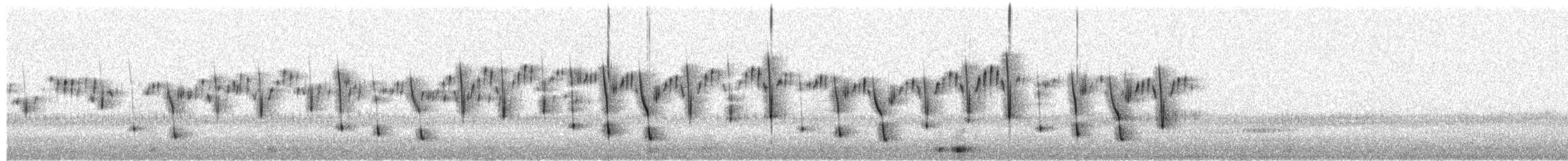 Bécasse d'Amérique - ML652557446