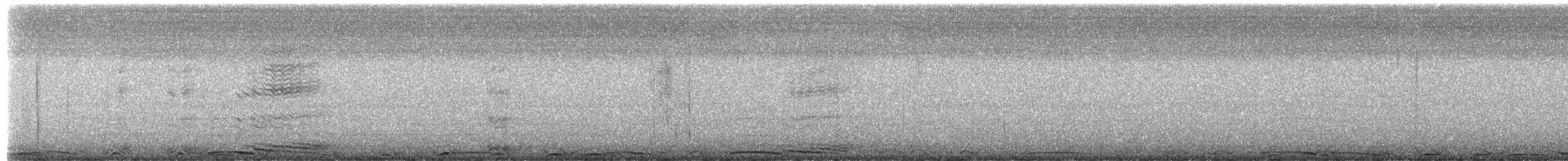 Barred Owl - ML652562769