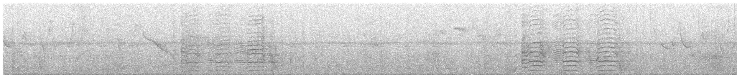 aratinga červenočelý - ML652567057