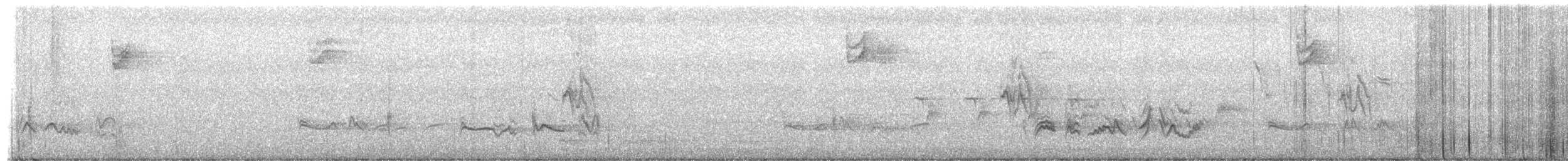 Tarin des pins - ML652567524