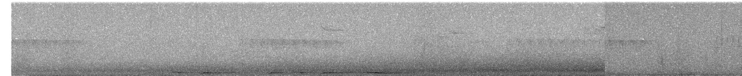 Barred Owl - ML652569425