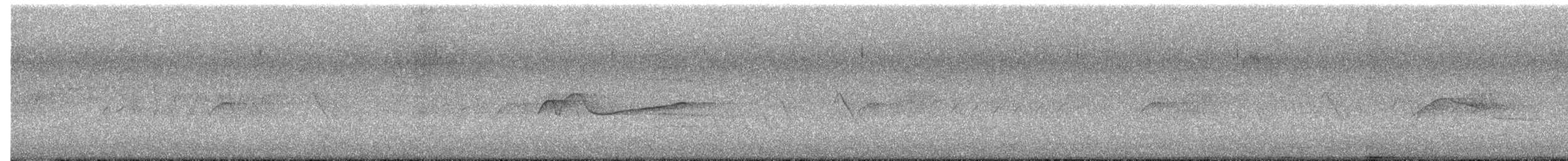 Doğulu Pivi - ML652571959