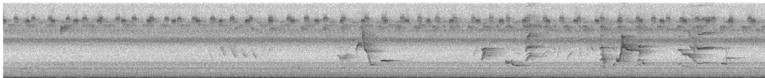 ネコマネドリ - ML652572225