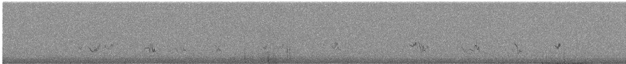 Жервінчик білошиїй - ML652573826