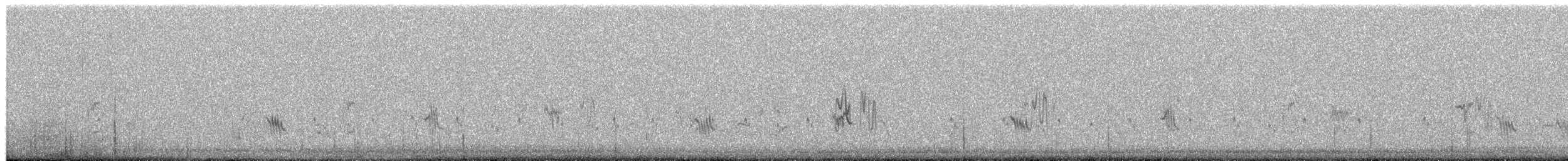 Жервінчик білошиїй - ML652576646