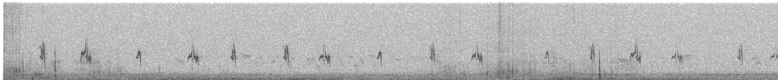 Жервінчик білошиїй - ML652576649