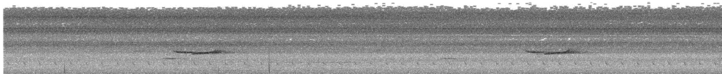 Bornean Black-capped Babbler - ML652577823