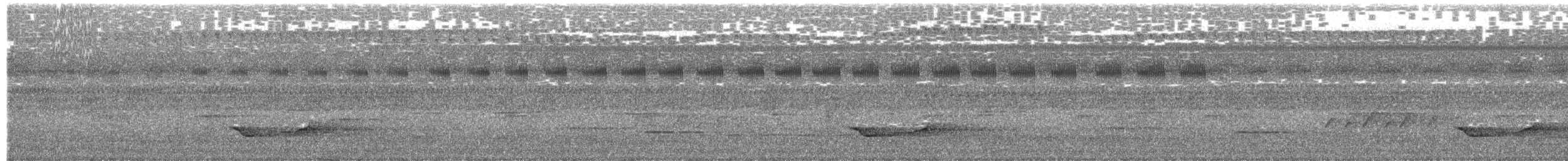 Чёрная иволга - ML652578716