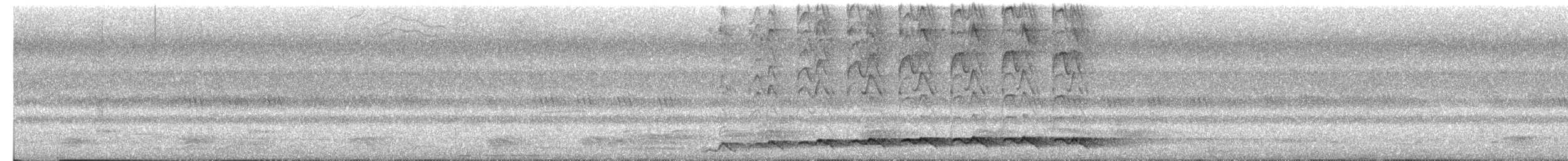 Asienkoel - ML652582325