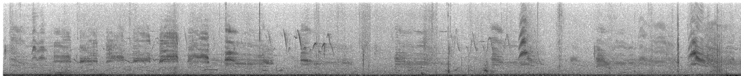 Mouette de Bonaparte - ML652591707