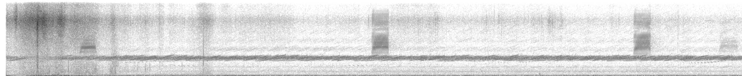 Американский вальдшнеп - ML652594257