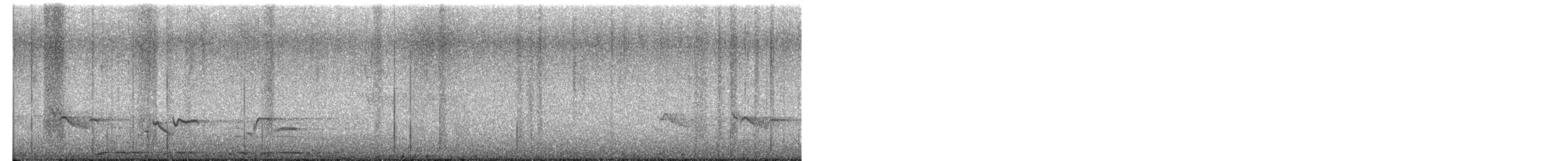 Barred Owl - ML652594399